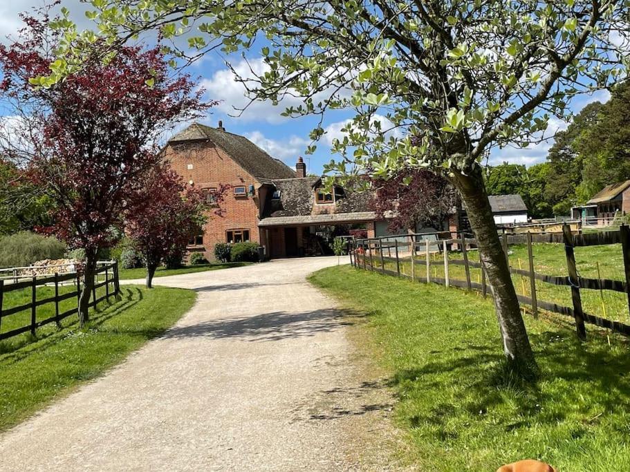 Self Catering Apartment, Jurassic Coast/Dorset Wareham Bagian luar foto